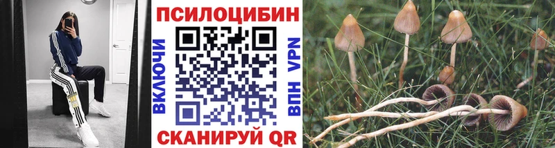 Галлюциногенные грибы прущие грибы Спасск